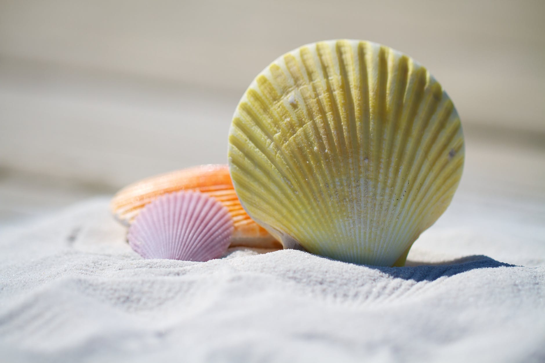 beach sand shells massage